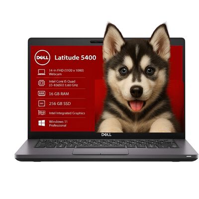 Laptop Dell Latitude 5400 Reacondicionada 14 FHD Core i5 16GB RAM 256GB SSD Windows 11 Pro