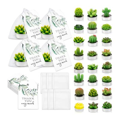 24pcs Velas Decorativas De Cactus Suculentas Verde Con Bolsa