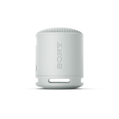 Bocina Port&aacute;til Sony XB100 Gris