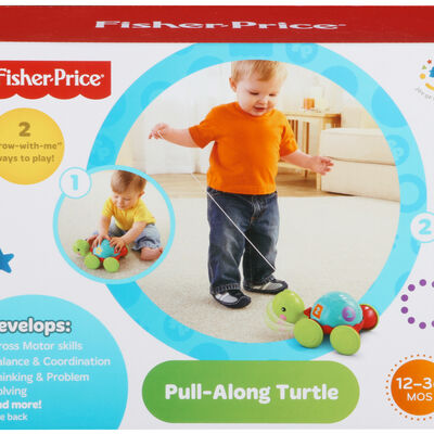 Tortuga de Aprendizaje Fisher Price