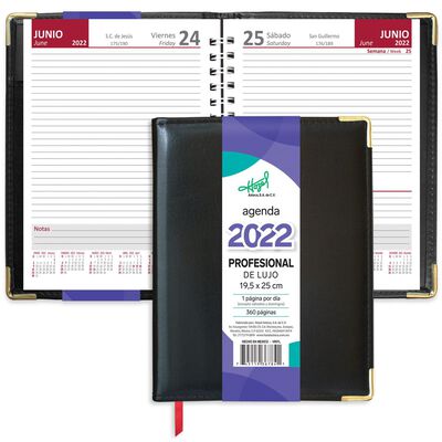 Agenda profesional lujo modelo 367-84