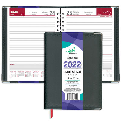 Agenda Profesional Lujo Negra X Dia Ofi-Pro