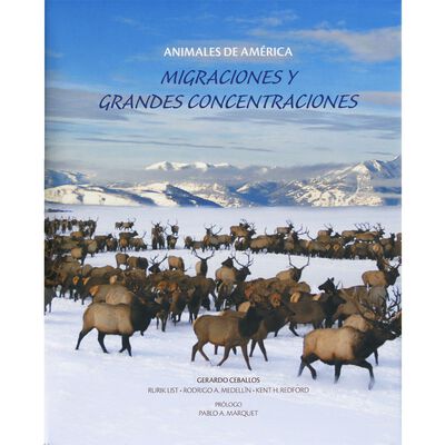Animales de Am&eacute;rica, Migraciones y grandes concentraciones