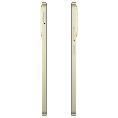 Celular Realme C61 256GB Dorado Telcel R3