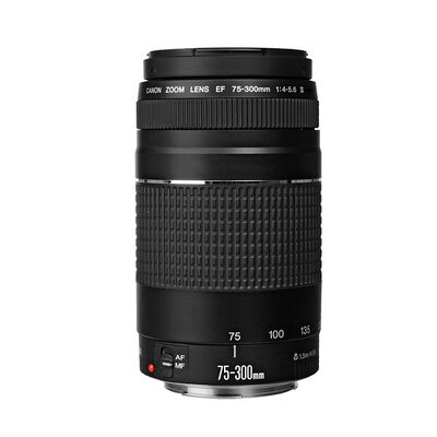 Lente Canon EF 75-300mm F/4-5.6 III
