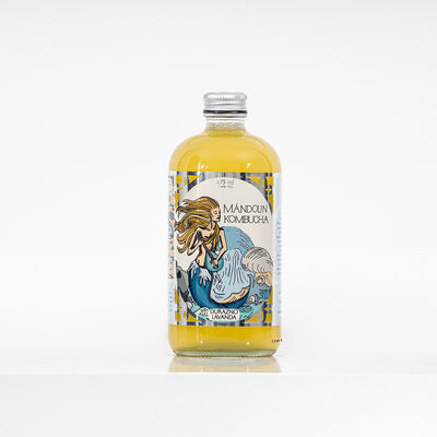 Mandolin Kombucha sabor Durazno y Lavanda