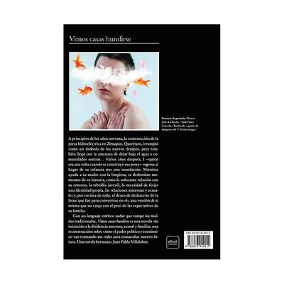 Vimos Casas Hundirse