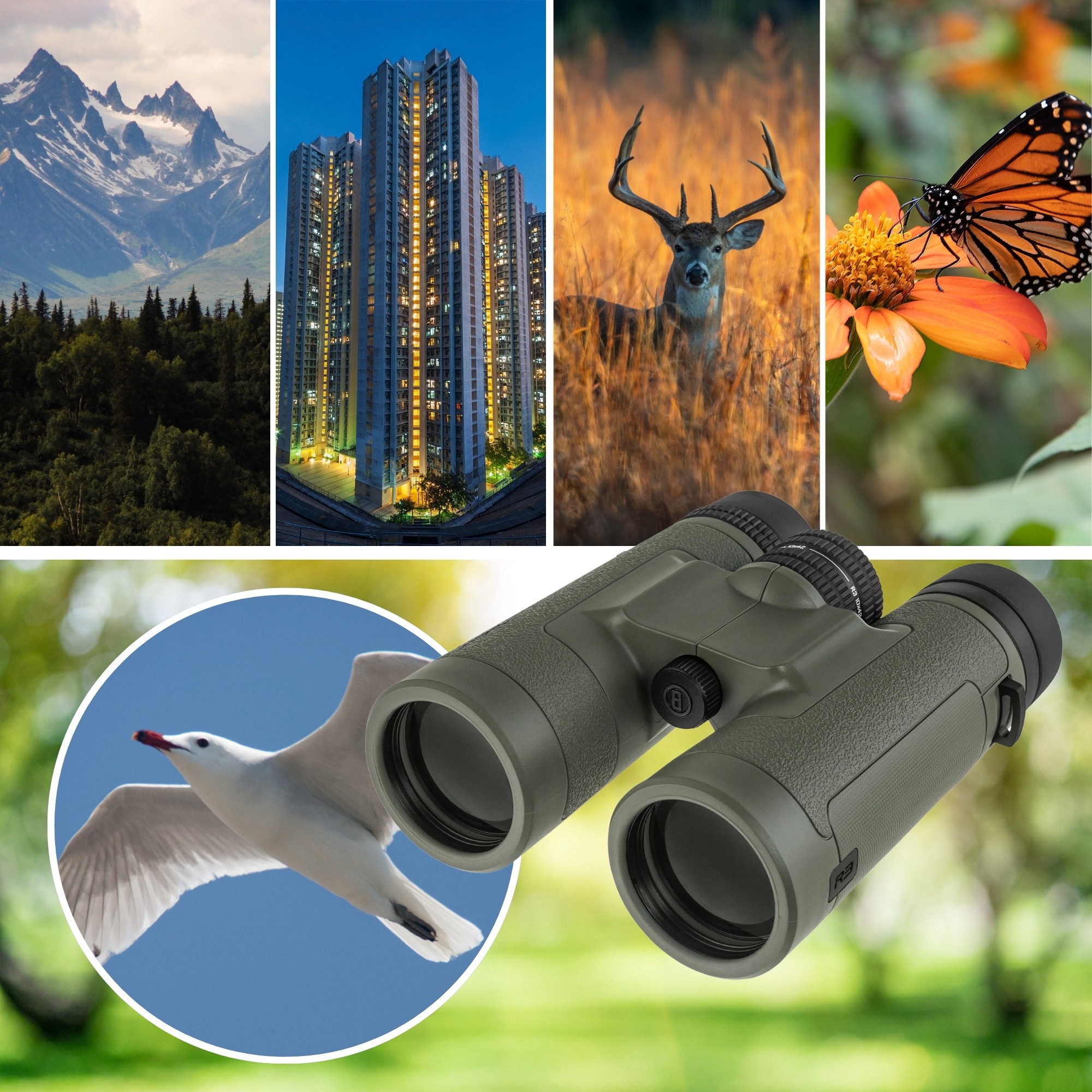 Binoculares Bushnell R3 10x42 HD Ranger Green &ndash; Prismas Bak4, &Oacute;ptica Multicapa, Impermeables IPX7 image number null