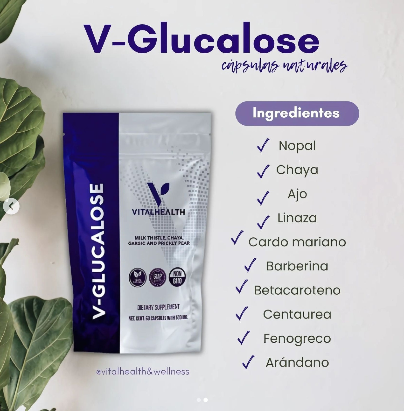 V-Glucalose VitalHealth 60 C&aacute;psulas | Control de az&uacute;car, insulina y metabolismo | Suplemento natural 100% natural NoGMO. image number null