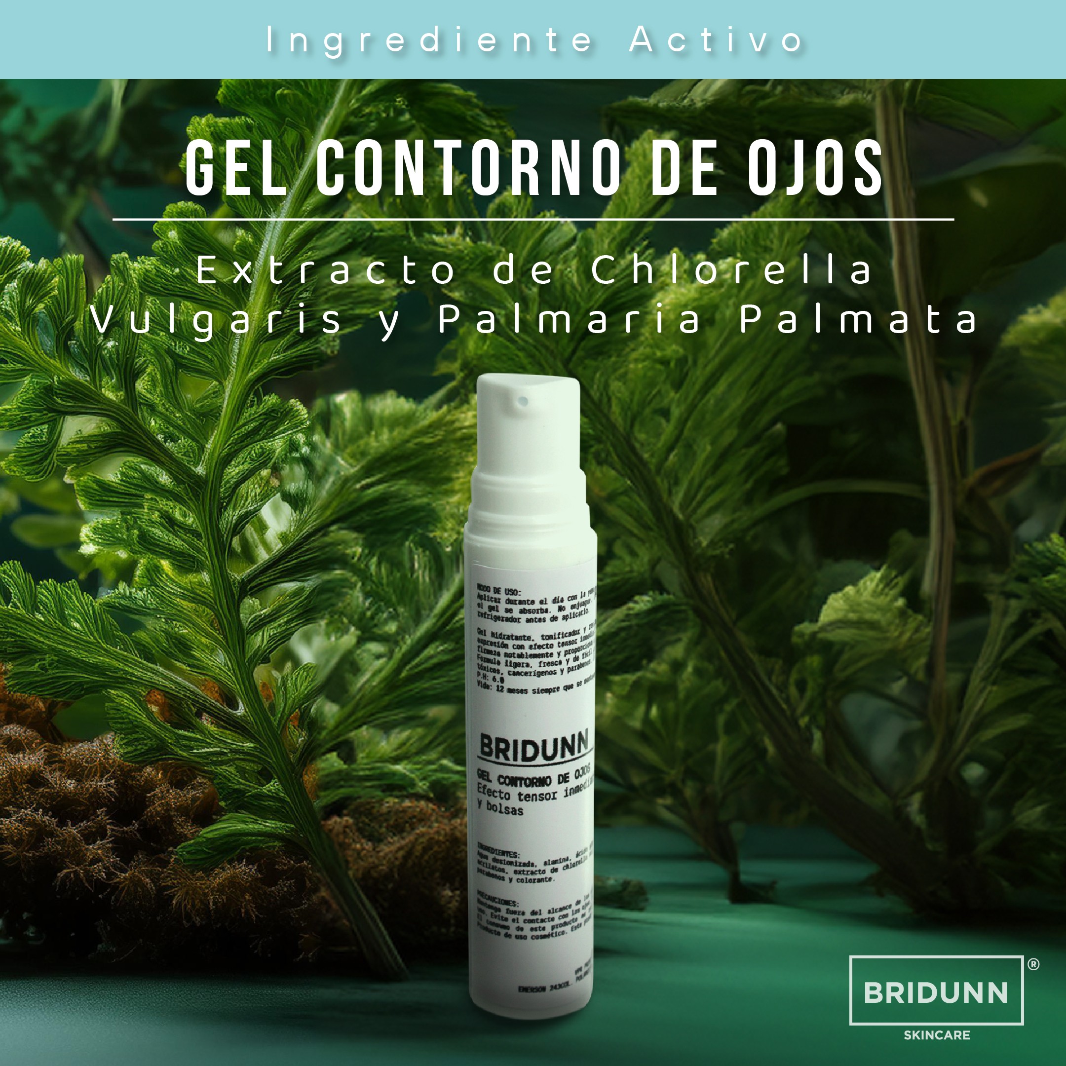 Corrector de Ojeras, Bolsas e Imperfecciones, BRIDUNN SKINCARE Con Algas Marinas y Coleus, Gel Natural 16 ml image number null
