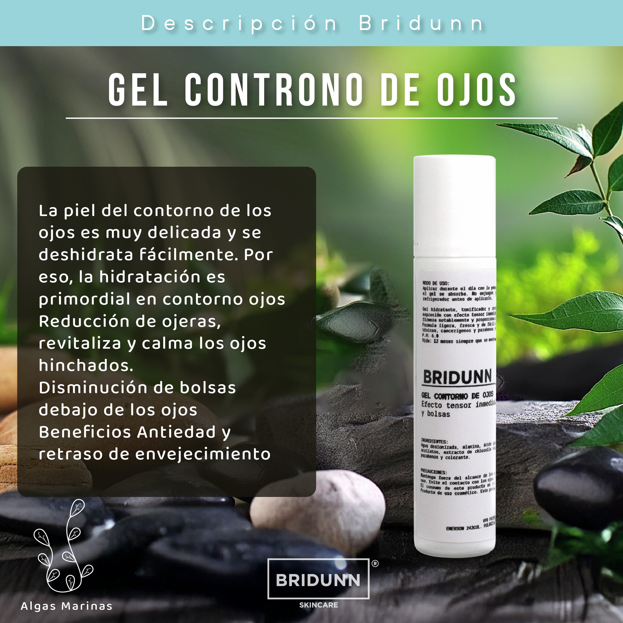 Corrector de Ojeras, Bolsas e Imperfecciones, BRIDUNN SKINCARE Con Algas Marinas y Coleus, Gel Natural 16 ml image number null