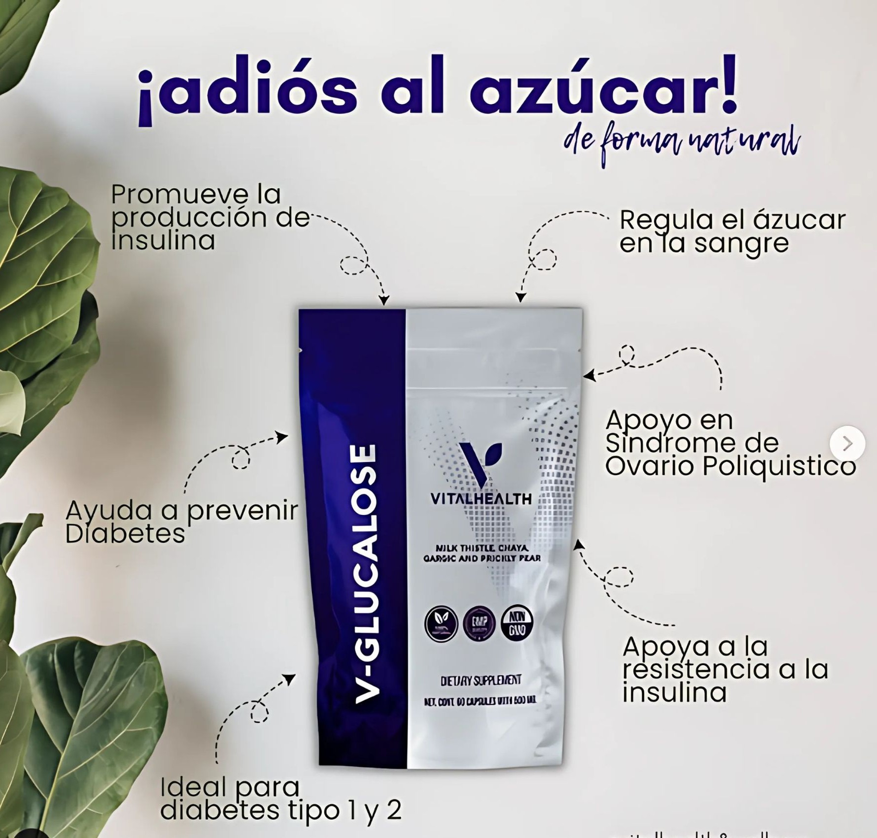 V-Glucalose VitalHealth 60 C&aacute;psulas | Control de az&uacute;car, insulina y metabolismo | Suplemento natural 100% natural NoGMO. image number null