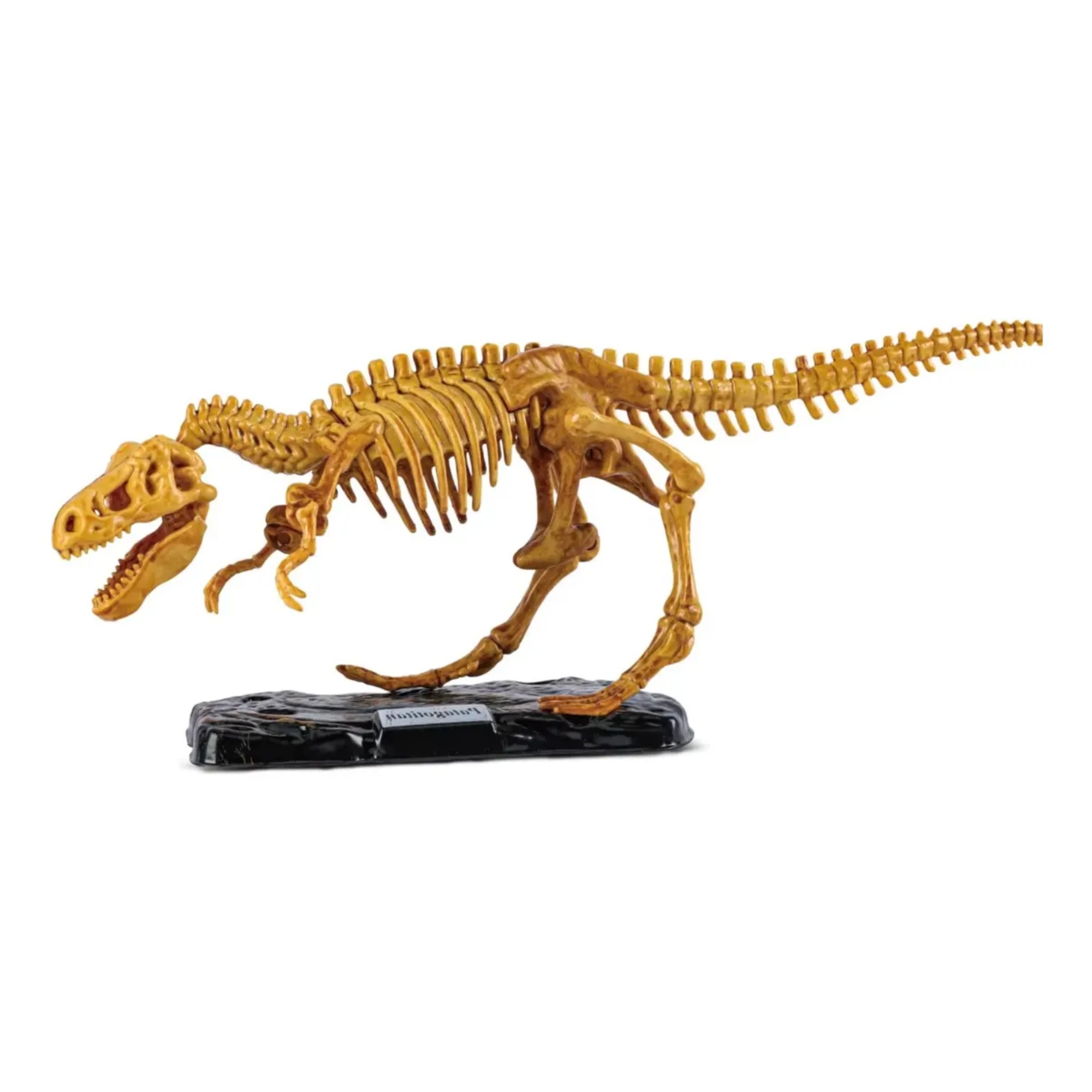 El Retorno del Rey: Construye tu Propio T-Rex Tama&ntilde;o &Eacute;pico Set Excavaci&oacute;n Educativo, Reliquia Definitiva del Rey Tirano image number null