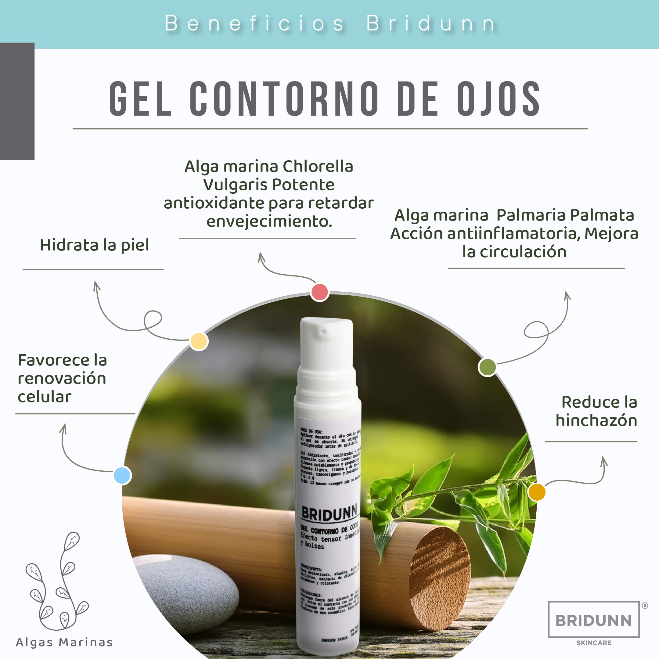 Corrector de Ojeras, Bolsas e Imperfecciones, BRIDUNN SKINCARE Con Algas Marinas y Coleus, Gel Natural 16 ml image number null
