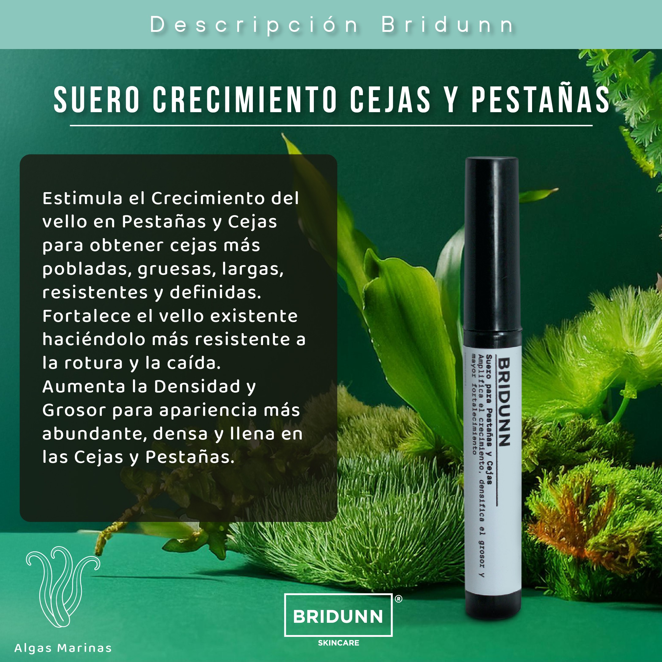 Kit Suero y Boost para Cejas y Pesta&ntilde;as BRIDUNN | Crecimiento Fuerte y Natural con Extractos Bot&aacute;nicos y Marinos image number null