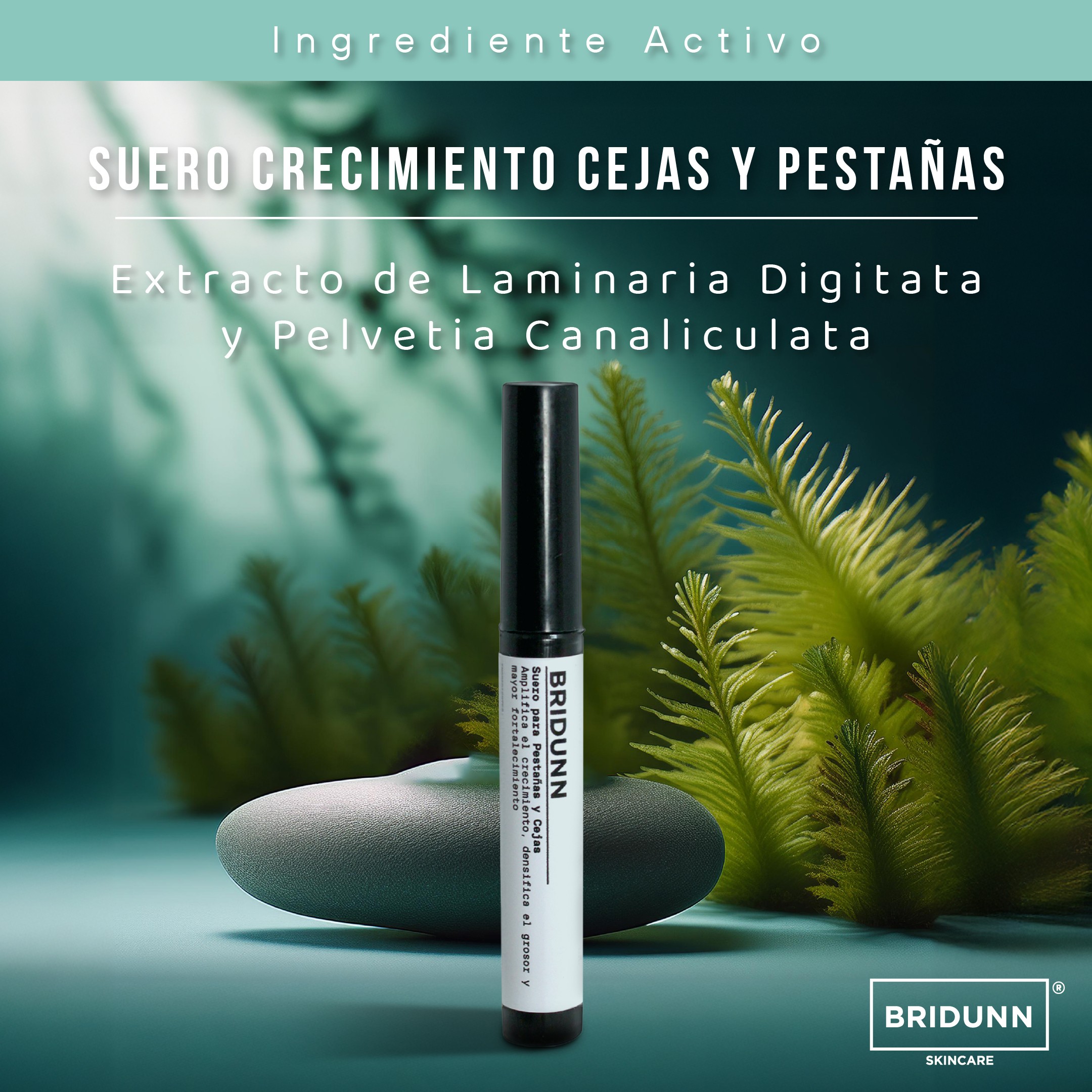 Kit Suero y Boost para Cejas y Pesta&ntilde;as BRIDUNN | Crecimiento Fuerte y Natural con Extractos Bot&aacute;nicos y Marinos image number null