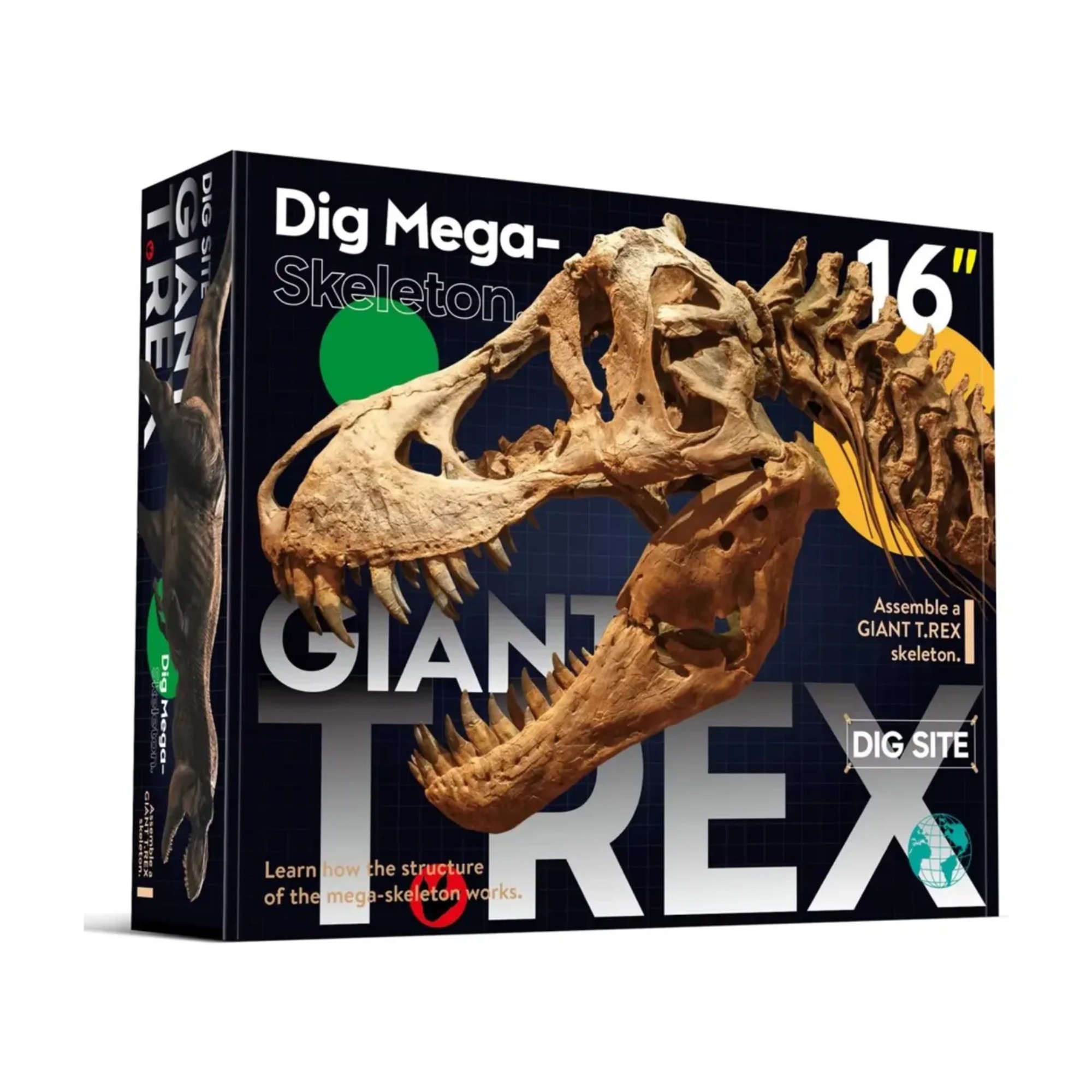 El Retorno del Rey: Construye tu Propio T-Rex Tama&ntilde;o &Eacute;pico Set Excavaci&oacute;n Educativo, Reliquia Definitiva del Rey Tirano image number null