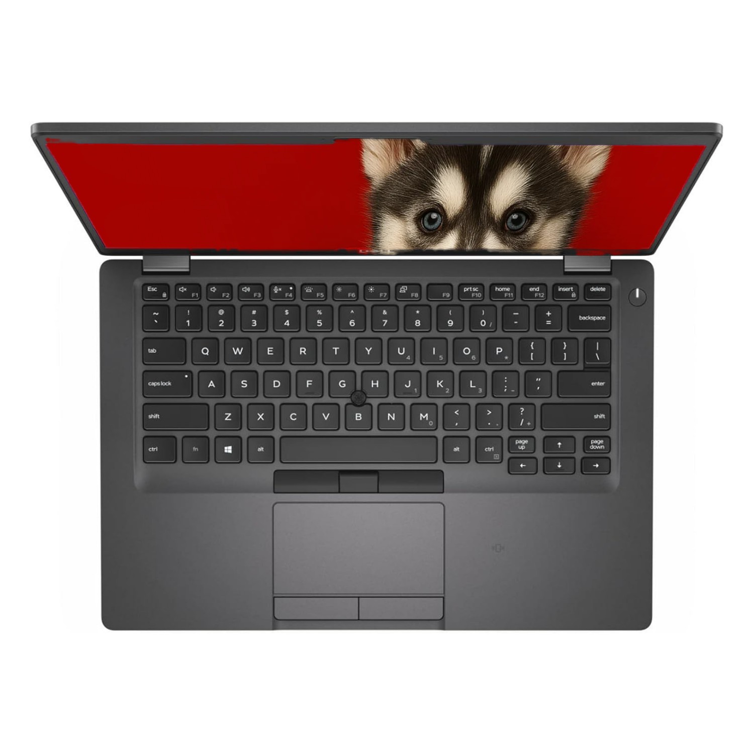 Laptop Dell Latitude 5400 Reacondicionada 14 FHD Core i5 16GB RAM 256GB SSD Windows 11 Pro image number null