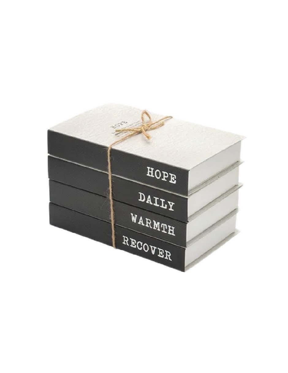 4 Libros Falso Creativos Decoraciones Para El De Moda NEGRO image number null