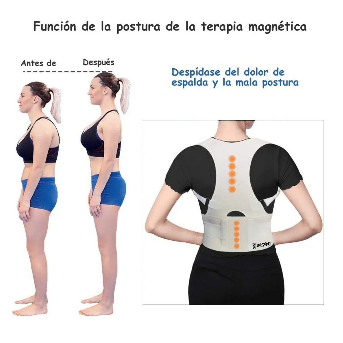 Corrector De Postura Con Imanes Soporte Lumbar Oferta M Beige image number null