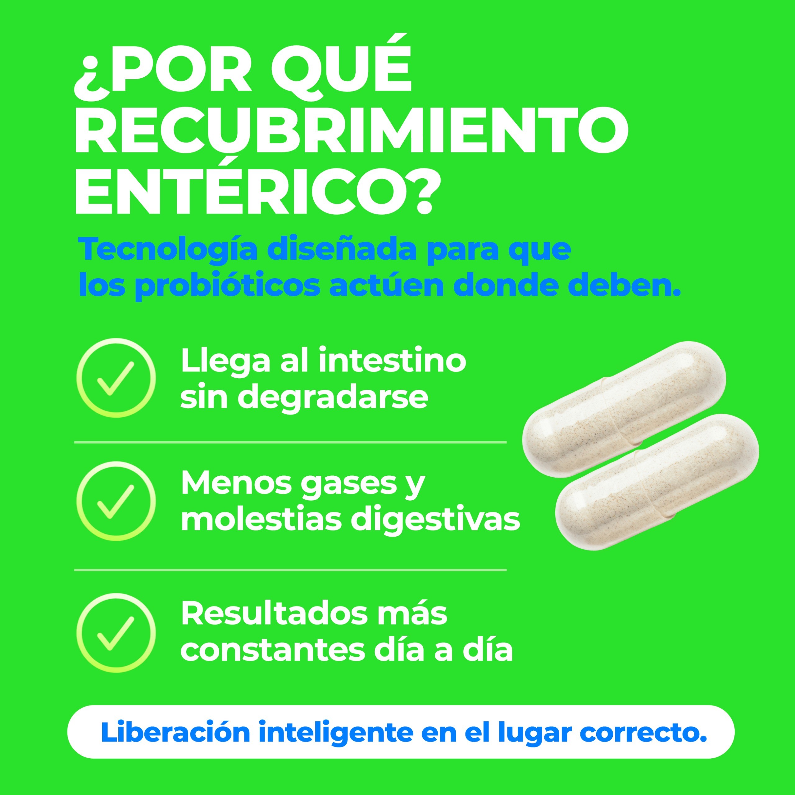 Amarte Labs Probi&oacute;ticos Enzimas Digestivas Salud Intestinal image number null