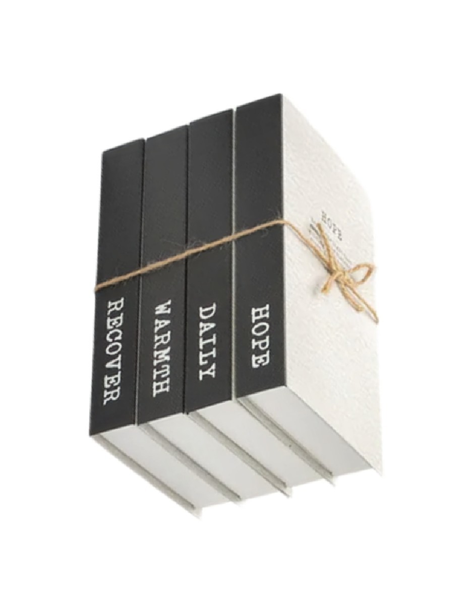 4 Libros Falso Creativos Decoraciones Para El De Moda NEGRO image number null