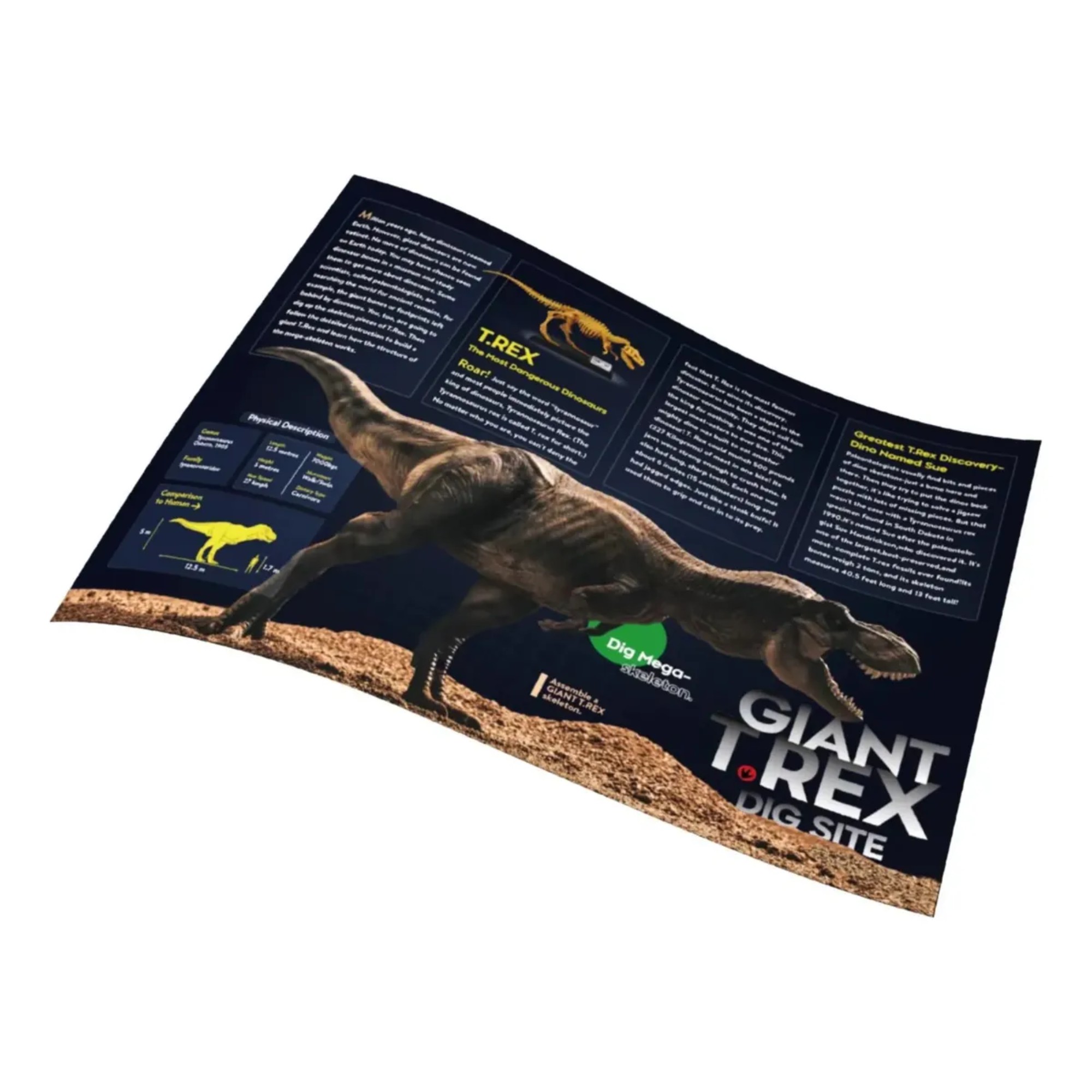 El Retorno del Rey: Construye tu Propio T-Rex Tama&ntilde;o &Eacute;pico Set Excavaci&oacute;n Educativo, Reliquia Definitiva del Rey Tirano image number null