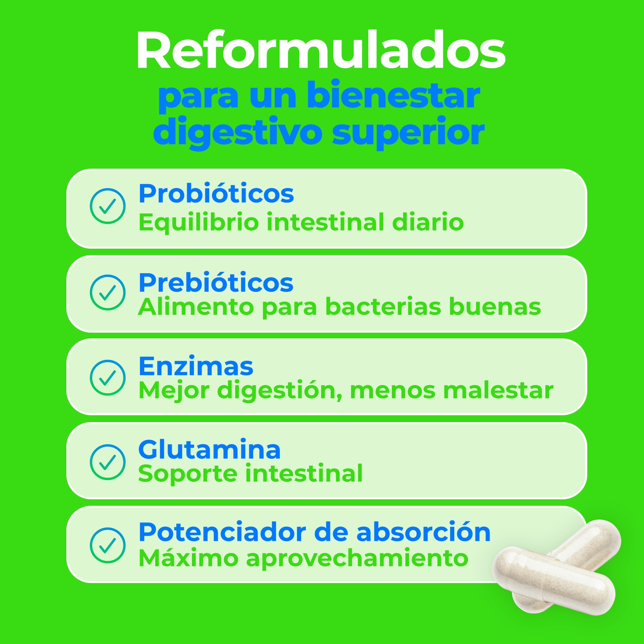 Amarte Labs Probi&oacute;ticos Enzimas Digestivas Salud Intestinal image number null