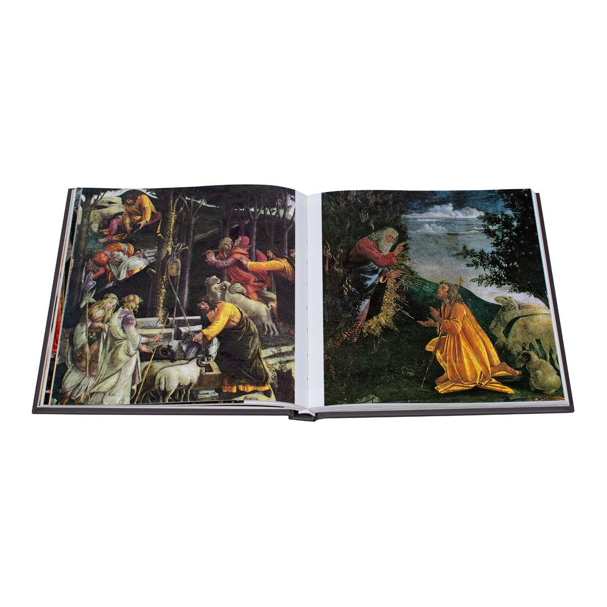 Botticelli image number null
