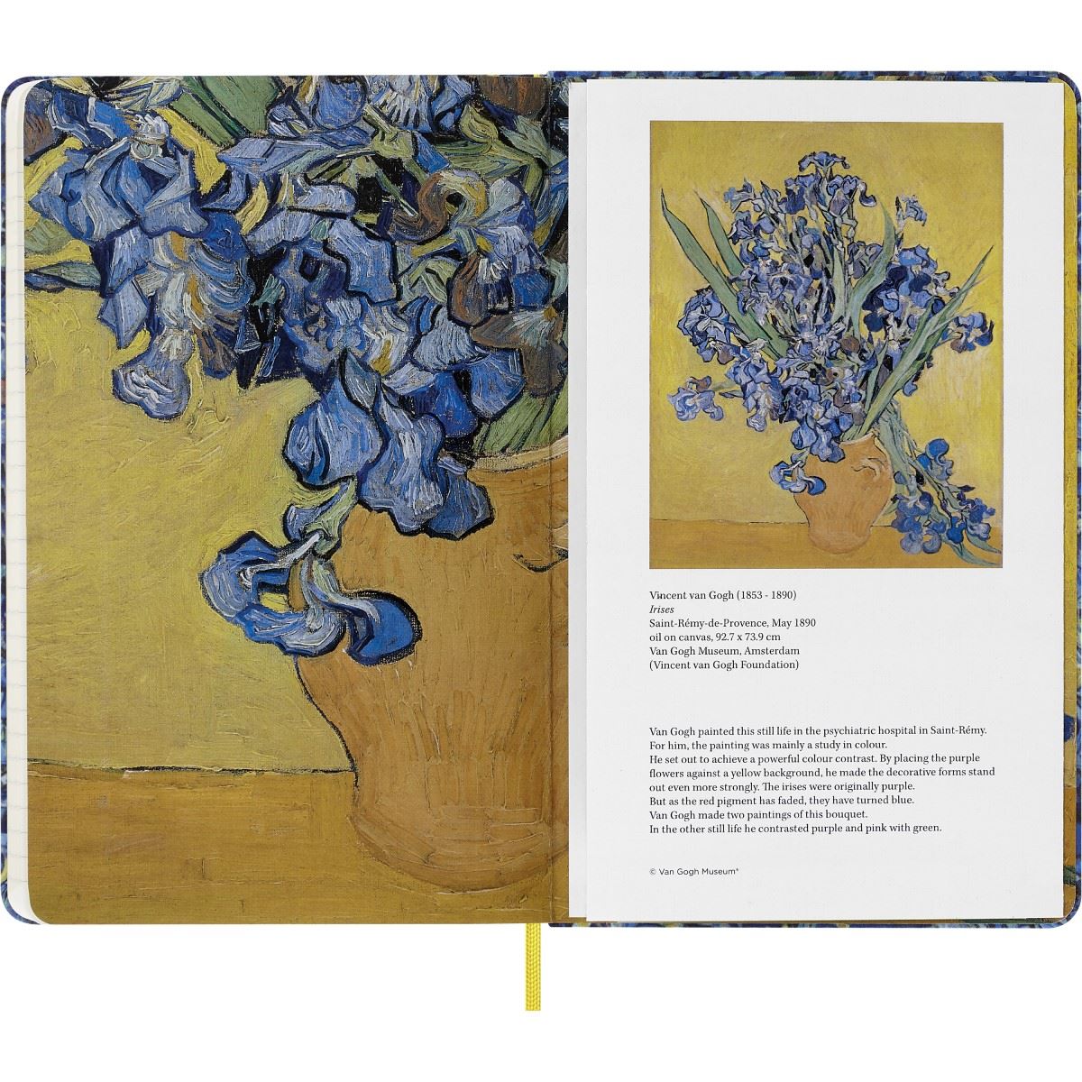 Libreta Grande Moleskine Pasta Dura Van Gogh image number null