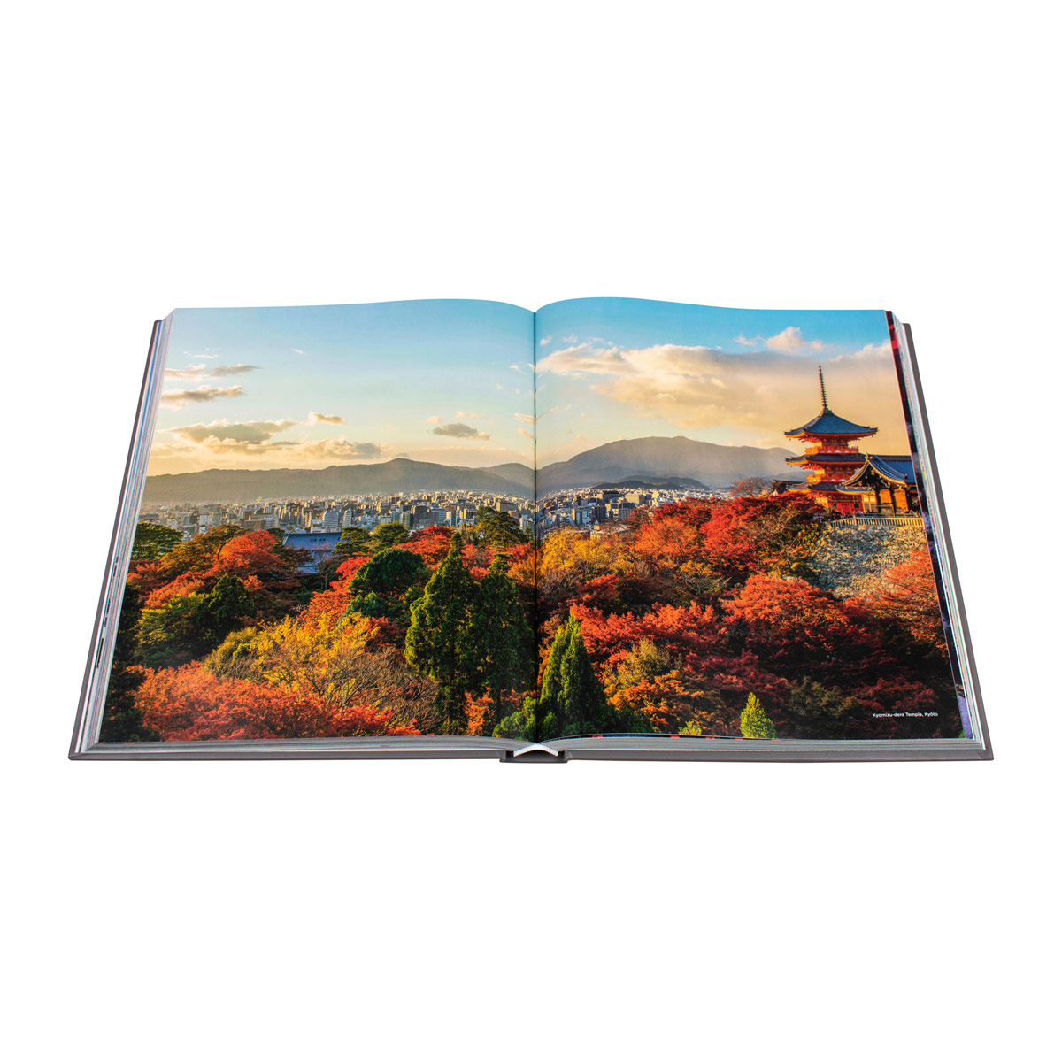 Japan image number null