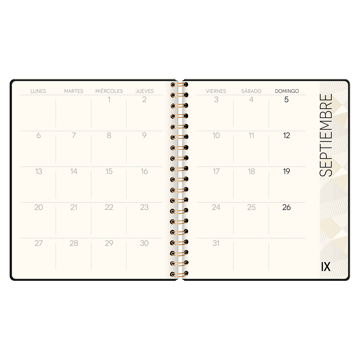 Agenda Diaria con Espiral Negra Premium Paper image number null