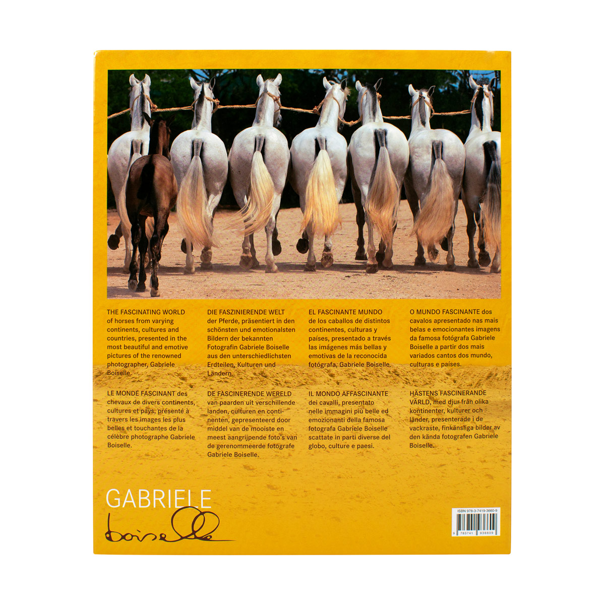 The World's Most Beautiful Horses image number null