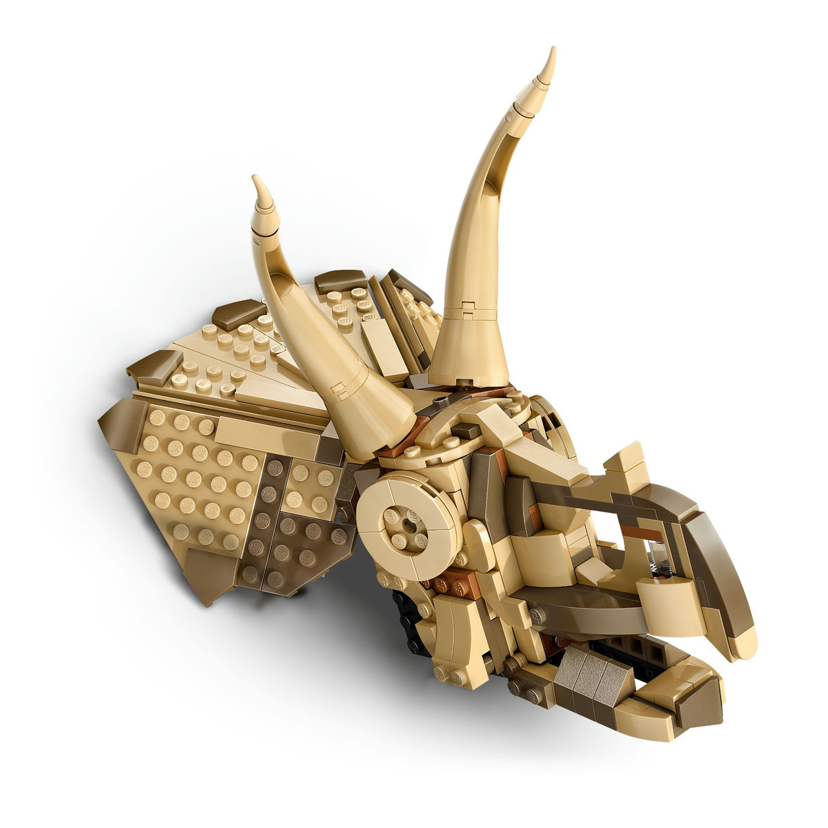 LEGO&reg; F&oacute;siles de Dinosaurios: Cr&aacute;neo de Triceratop image number null