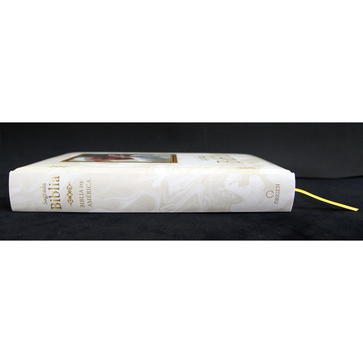 Biblia Católica - Francisco image number null