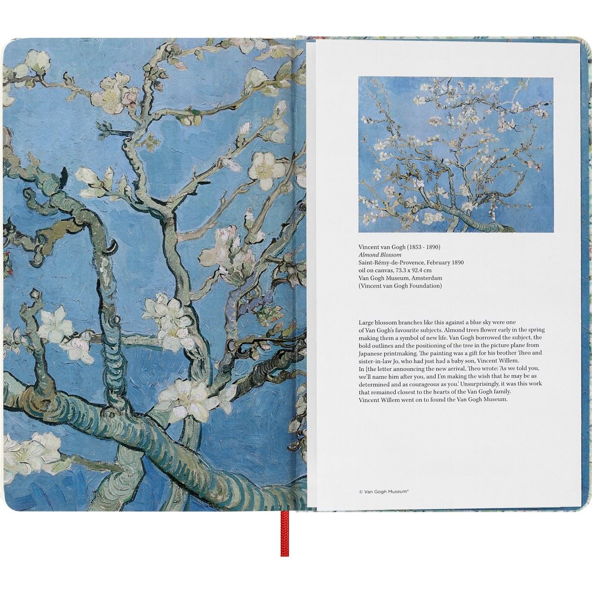 Diario Sketchbook Grande Moleskine Van Gogh image number null