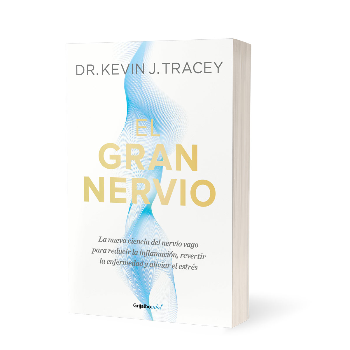 El gran nervio image number null