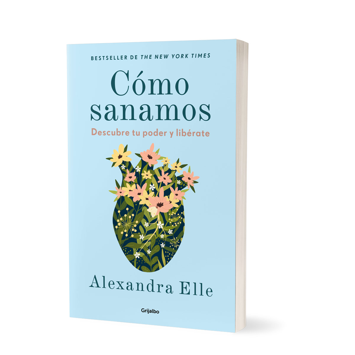 Cómo sanamos image number null