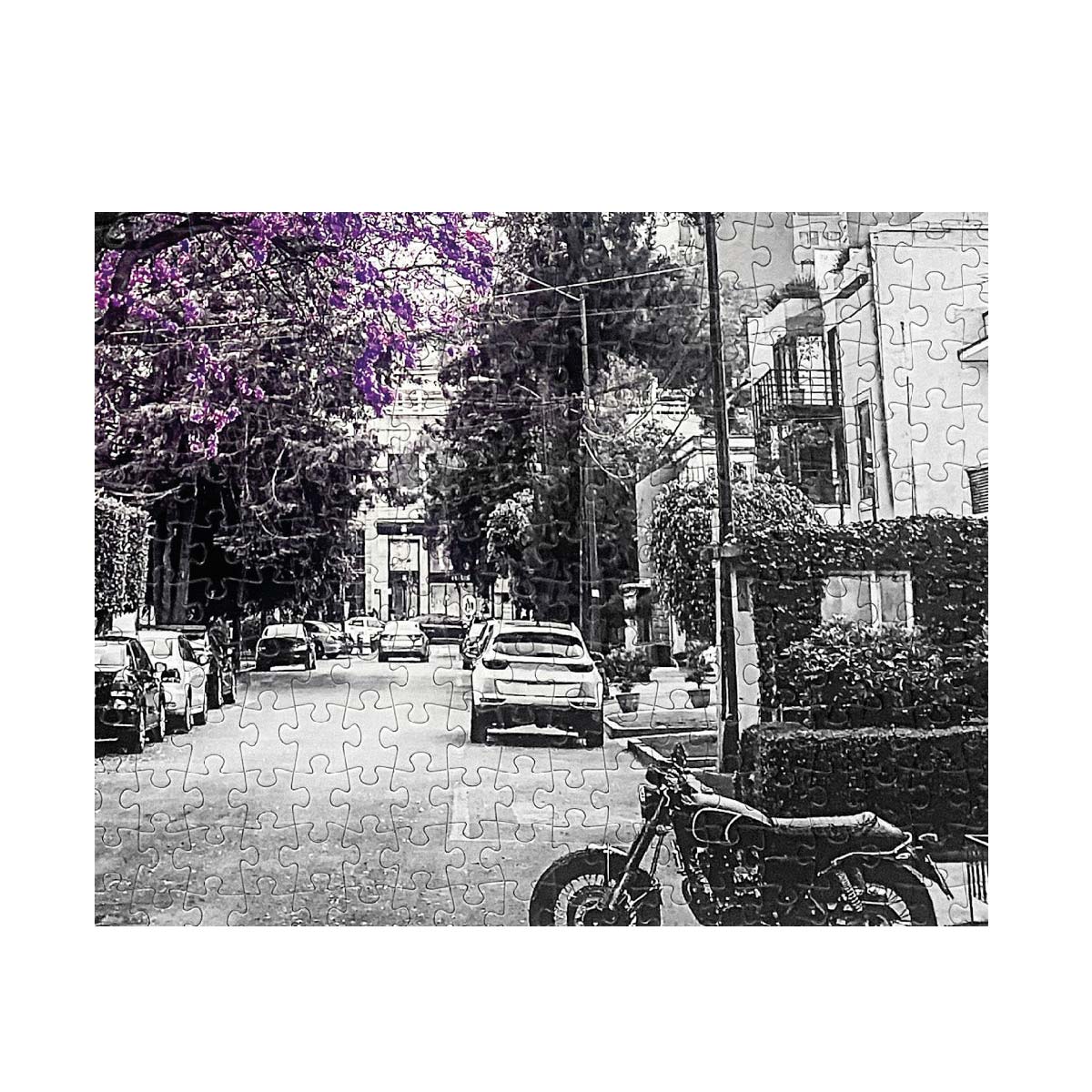 Rompecabezas Jacarandas CDMX 1000 Piezas Anatolian image number null