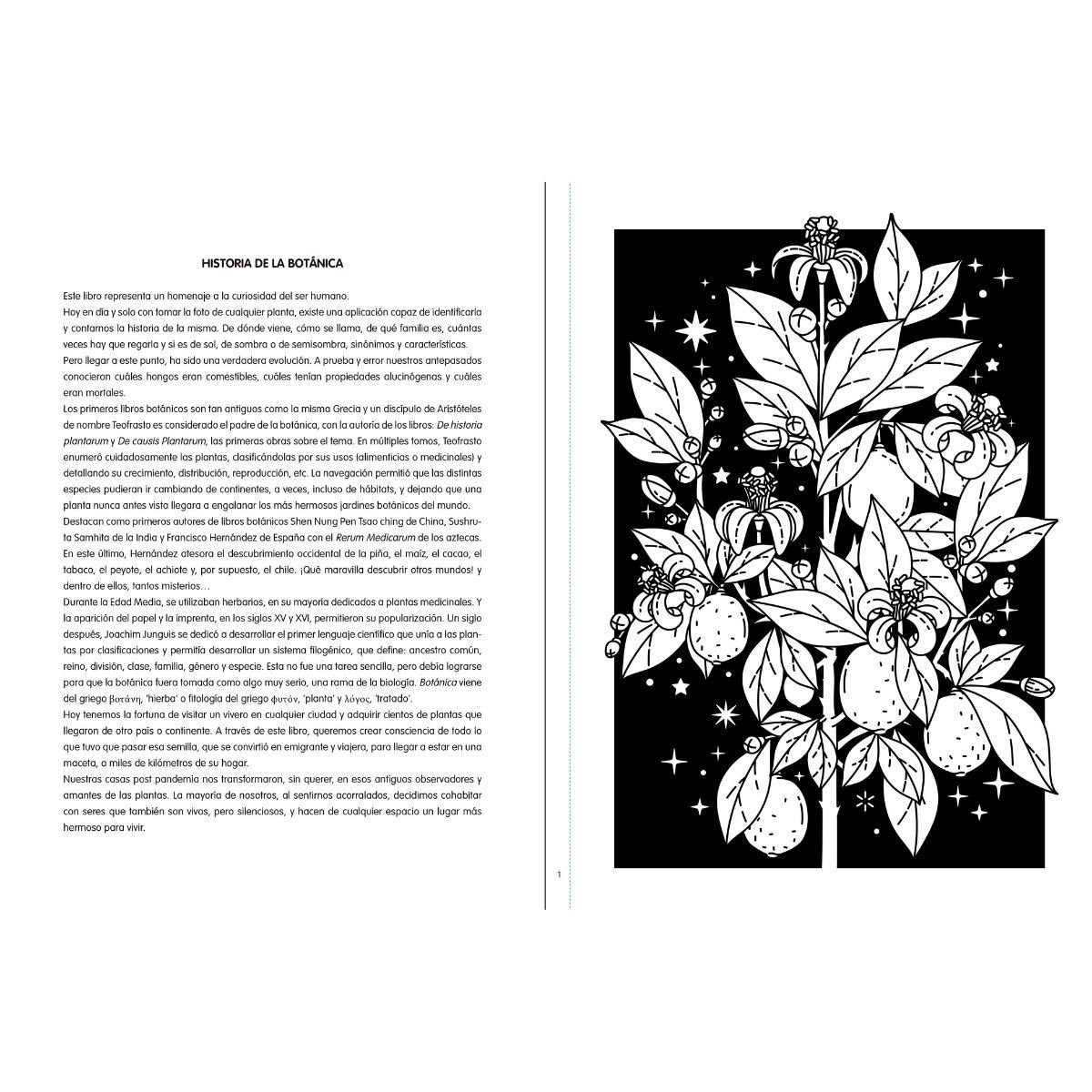 #Coloreanding Bot&aacute;nica image number null