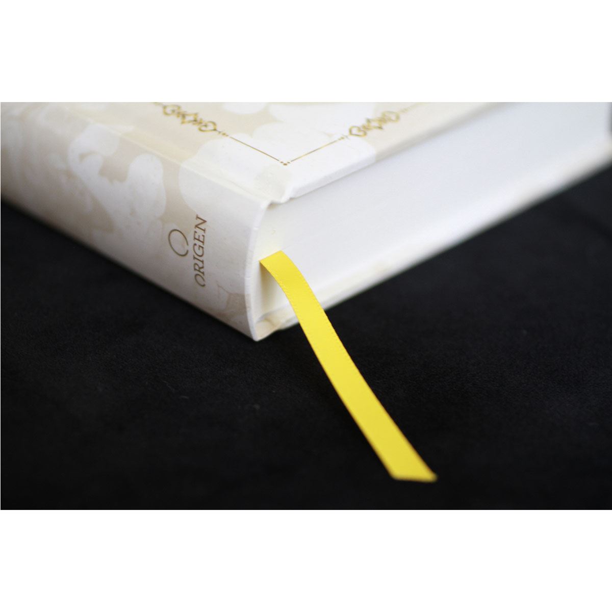 Biblia Católica - Francisco image number null