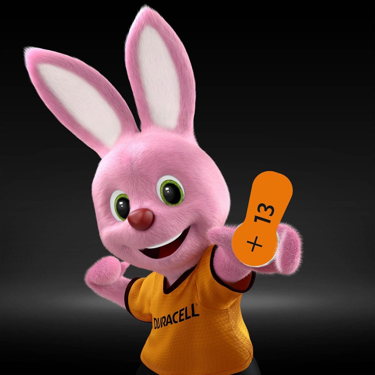 Pila Duracell Auditiva 13 C/6 image number null