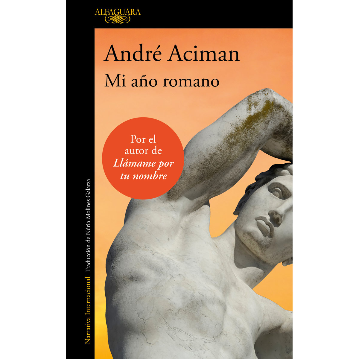 Mi año romano image number null