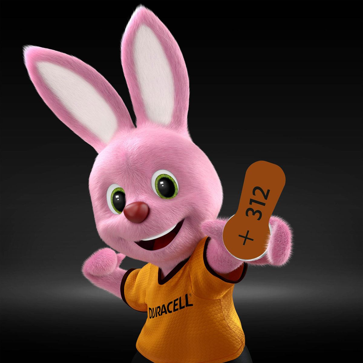 Pila Duracell Auditiva 312 C/6 image number null