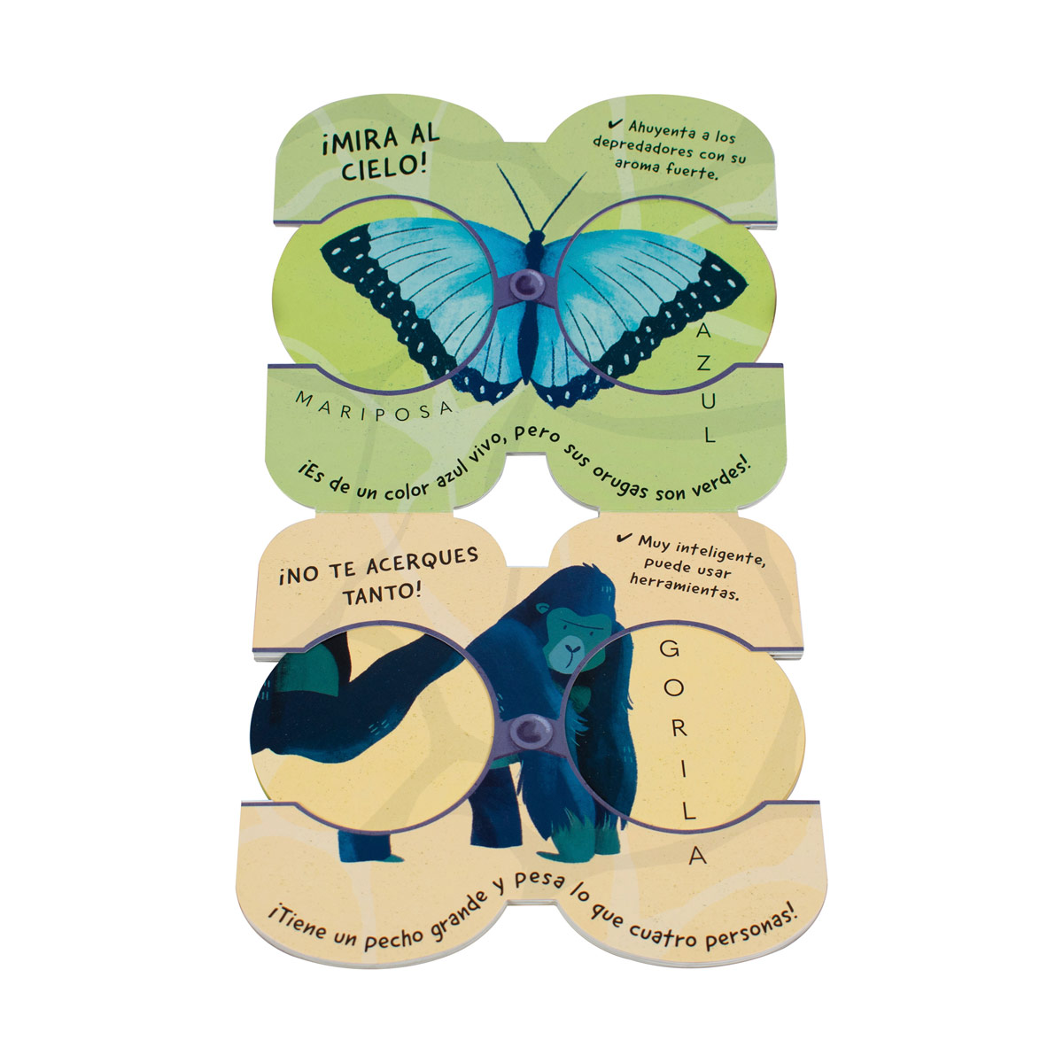 Binoculares m&aacute;gicos mira m&aacute;s de cerca la selva. image number null