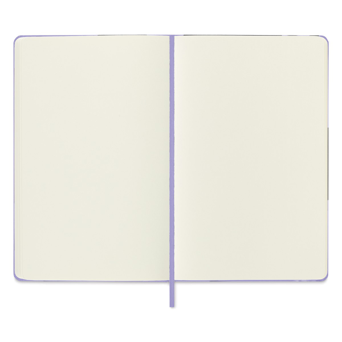 Cuaderno de Bocetos MOLESKINE Grande Lila con Hojas Blancas image number null