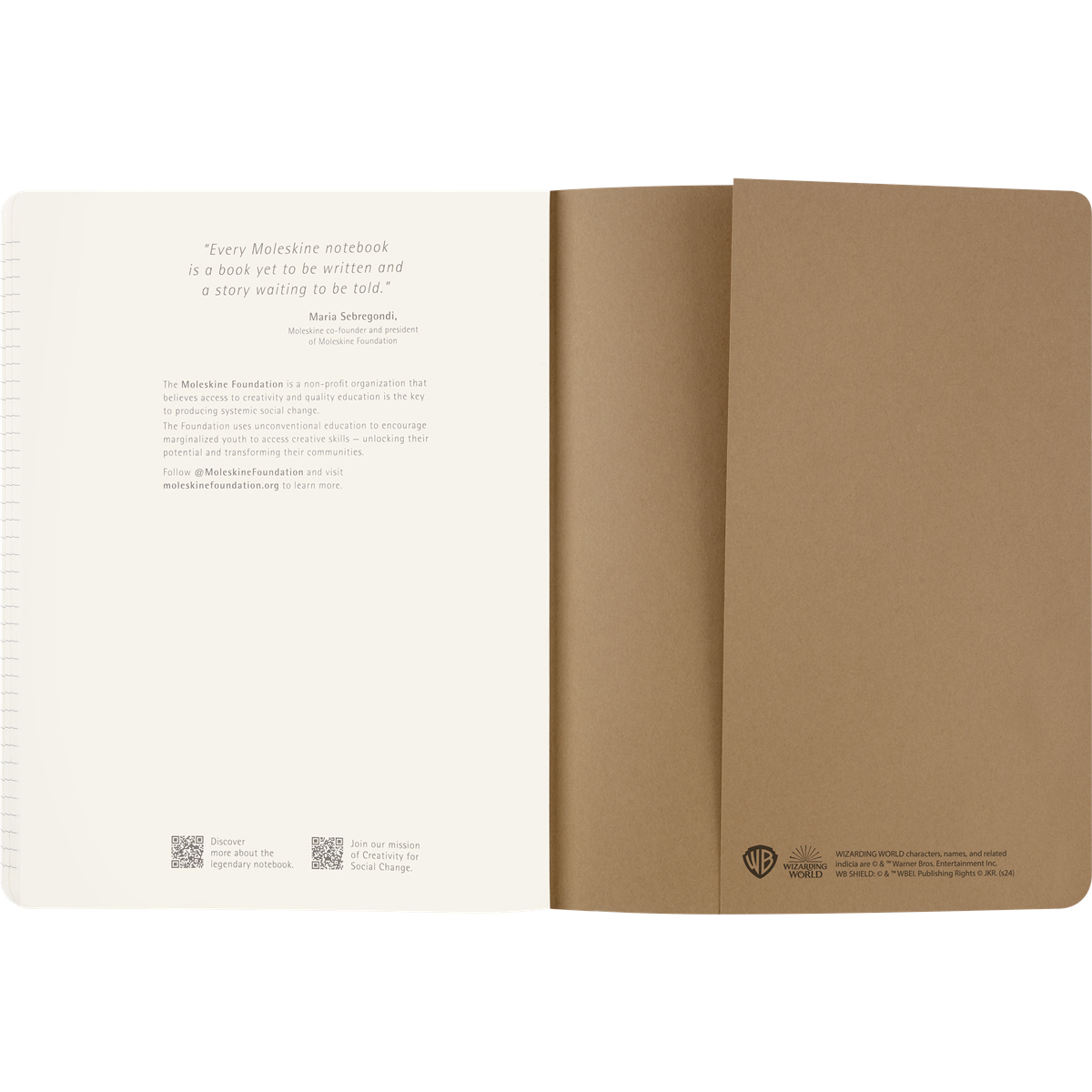 Set de 2 Libretas MOLESKINE Wingardium Leviosa Harry Potter image number null