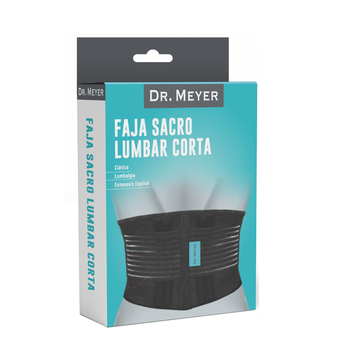 Faja Sacro Lumbar Corta de Niylan DR Meyer GDE-EXGDE image number null