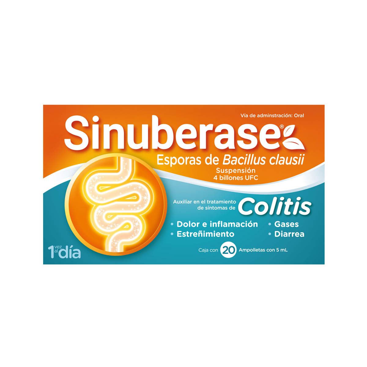Sinuberase 10 Ampolletas 2B Probi&oacute;ticos Antidiarrea image number null