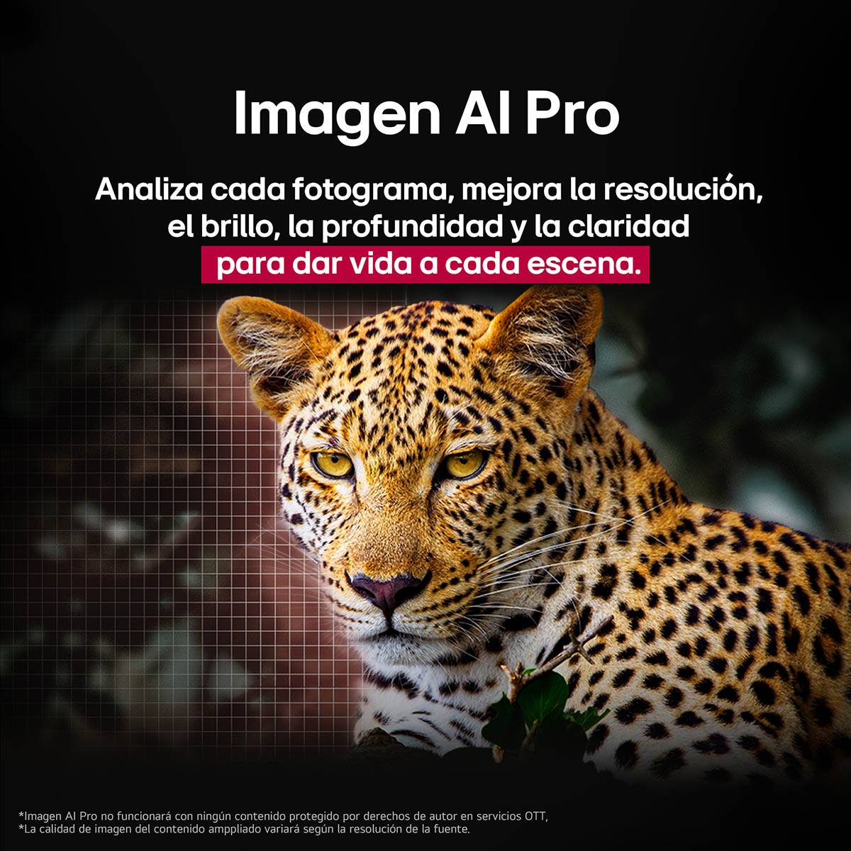 Pantalla LG 55 Pulgadas Oled Evo Ai C5 4K Smart Tv image number null